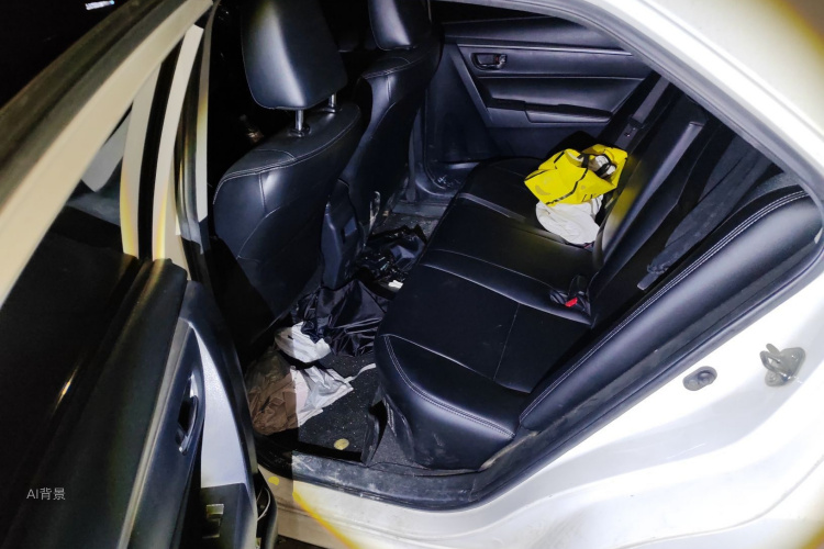 Toyota Corolla 2016 car image #19