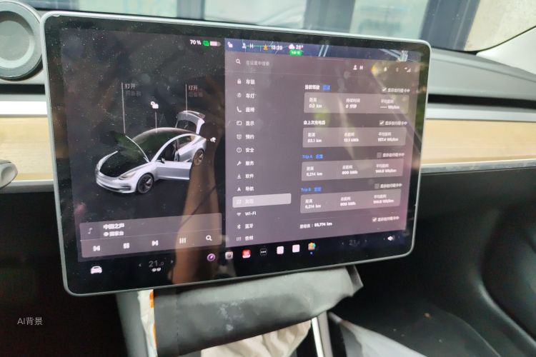 Tesla Model 3 2020 car image #15