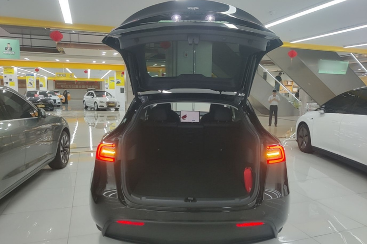 Tesla Model Y 2023 car image #19