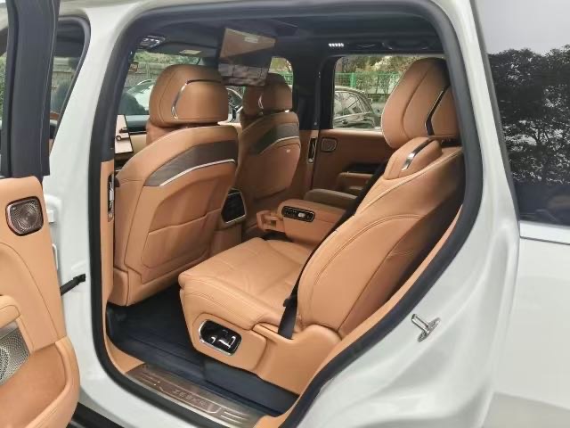 极氪 极氪9X 2025 汽车图片 #4