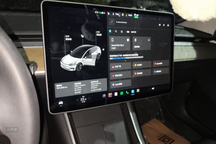 Tesla Model 3 2020 car image #15