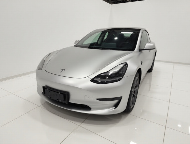 Tesla Model 3 2023 immagine di auto 