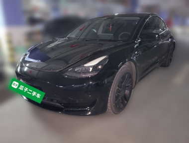 Tesla Model 3 2021 car image 