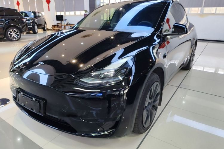 Tesla Model Y 2024 immagine di auto #2