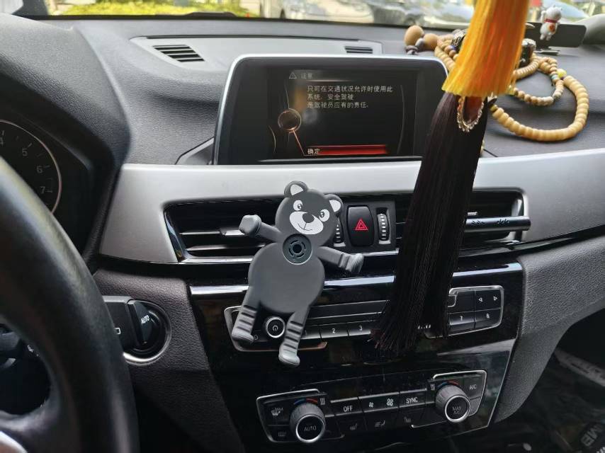 BMW X1 2017 car image #4
