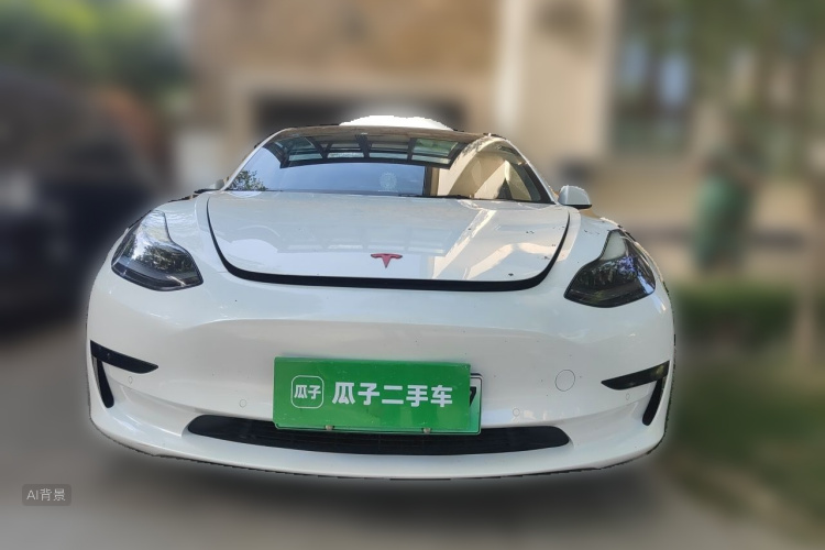 Tesla Model 3 2021 #3 Tesla Model 3 2021 car image #3