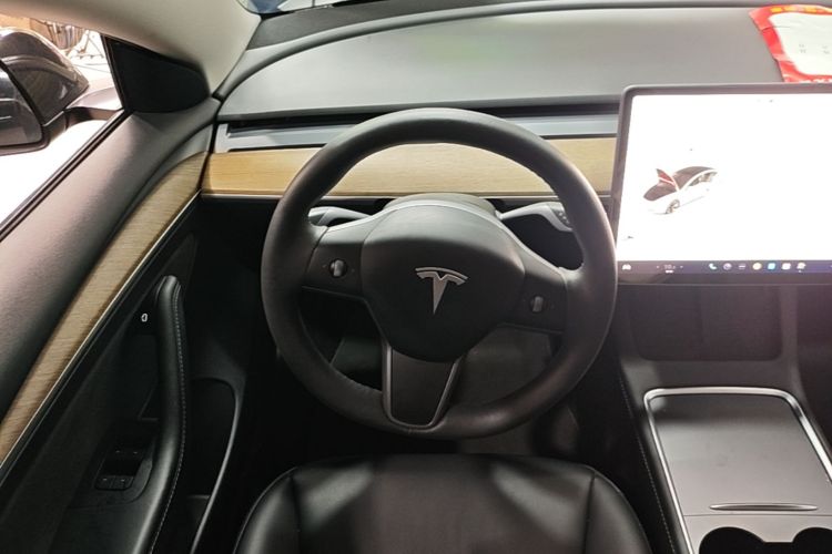 Tesla Model 3 2021 immagine di auto #11