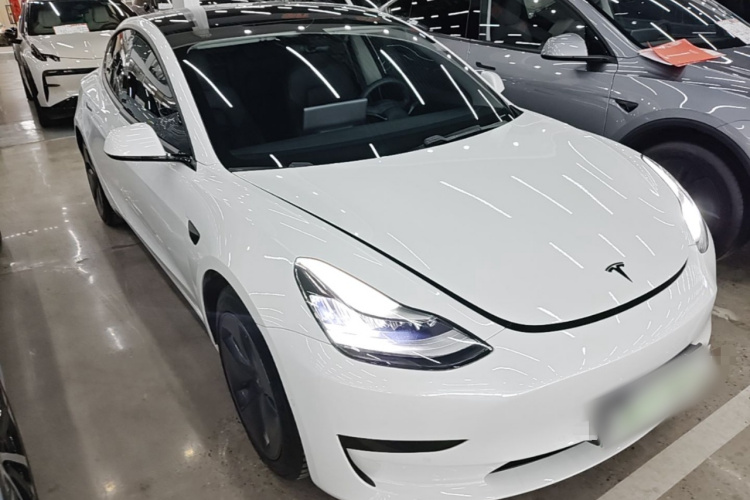 Tesla Model 3 2020 #6 Tesla Model 3 2020 car image #6