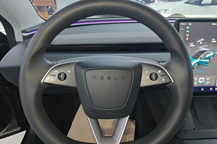 Tesla Model 3 2023 car image #11