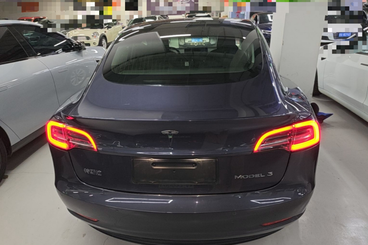 Tesla Model 3 2020 car image #6