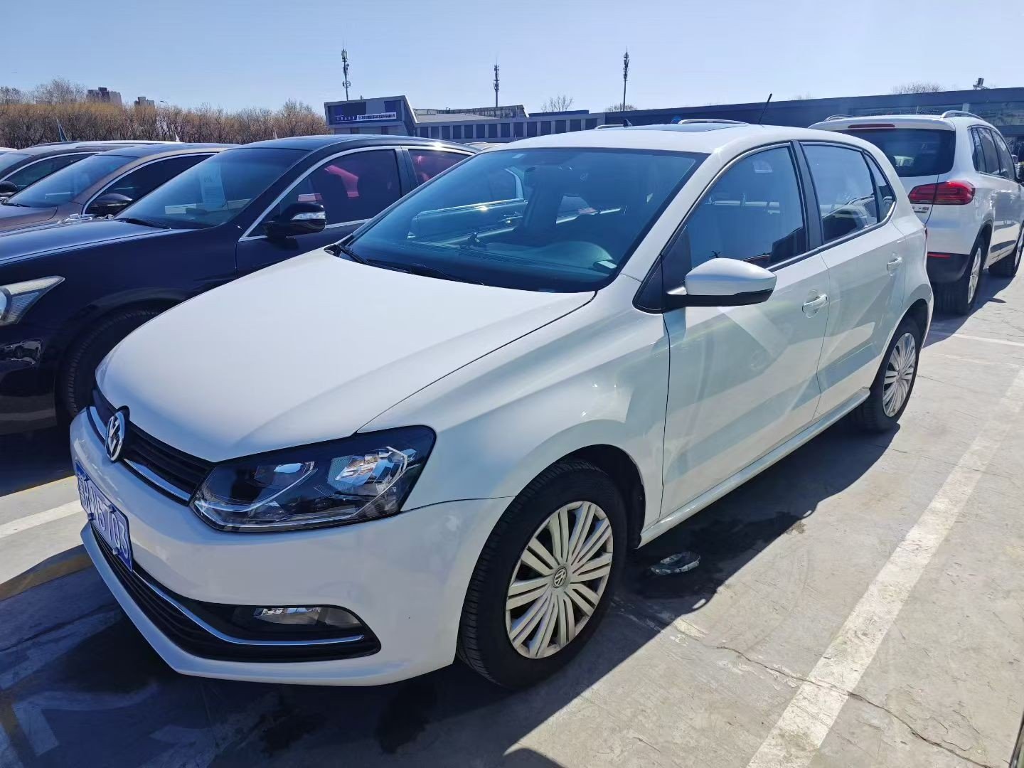Volkswagen Polo 2017 Volkswagen Polo 2017 car image