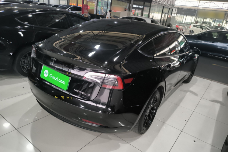 Tesla Model 3 2021 car image #7