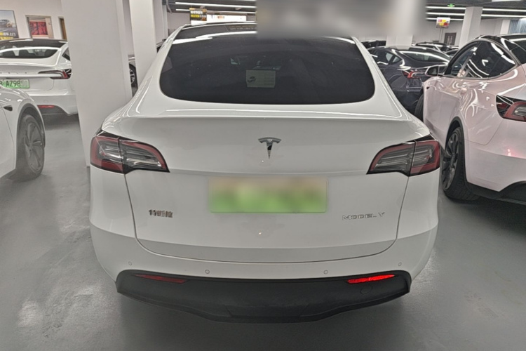 Tesla Model Y 2023 car image #6