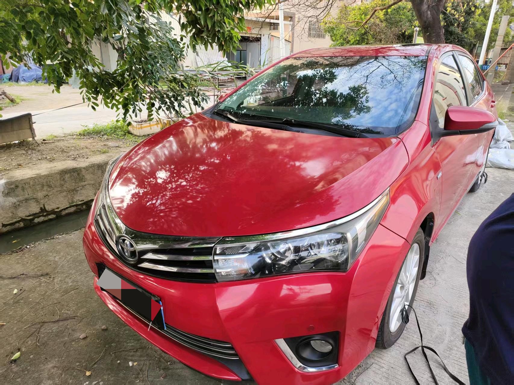 Toyota Corolla 2016 car image 