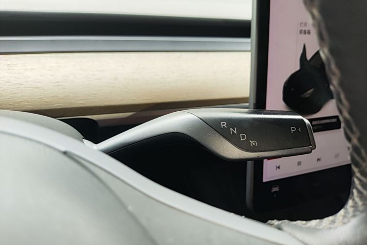 Tesla Model Y 2021 car image #15