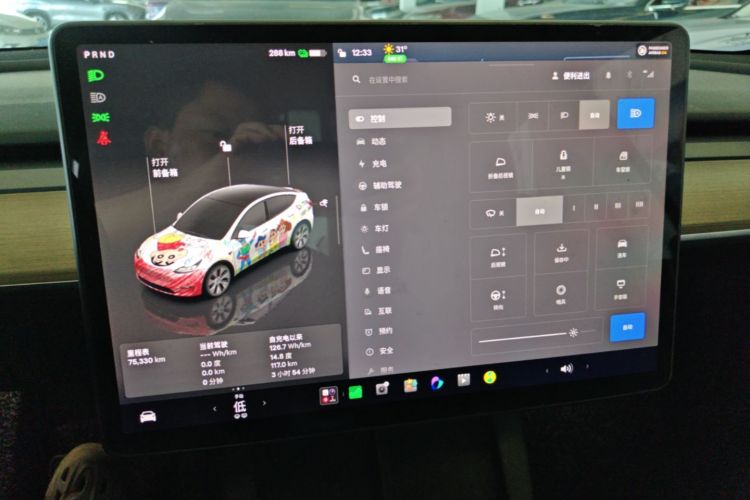 Tesla Model Y 2022 car image #13