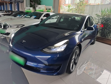 Tesla Model 3 2020 Tesla Model 3 2020 car image