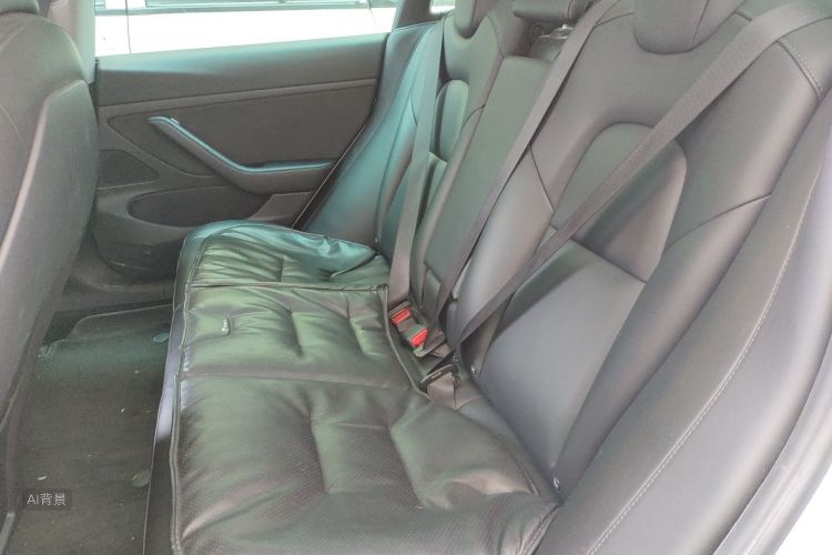 Tesla Model 3 2020 car image #19