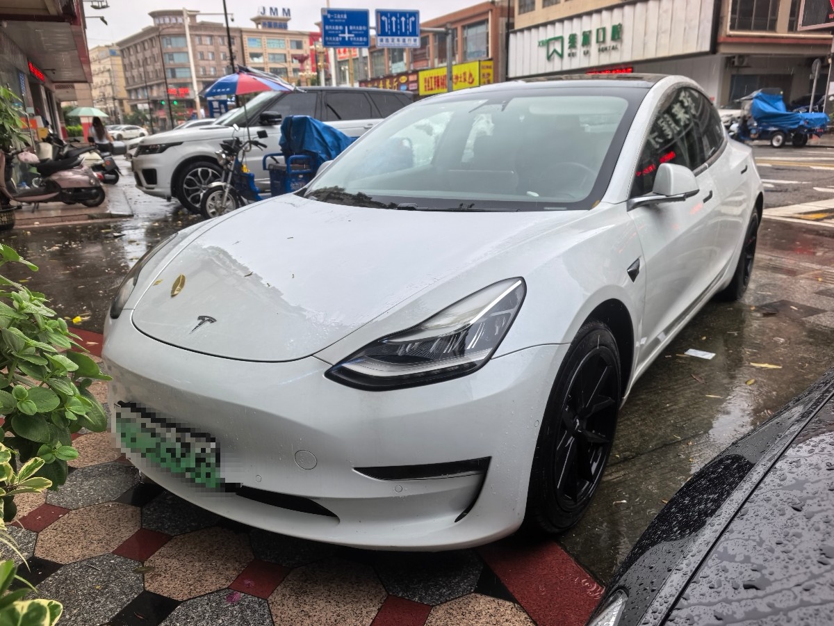 Tesla Model 3 2020 car image 