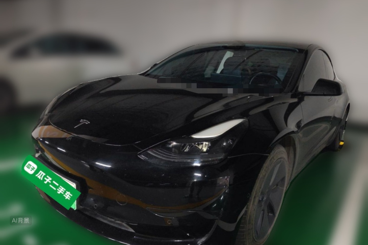 Tesla Model 3 2021 immagine di auto #2