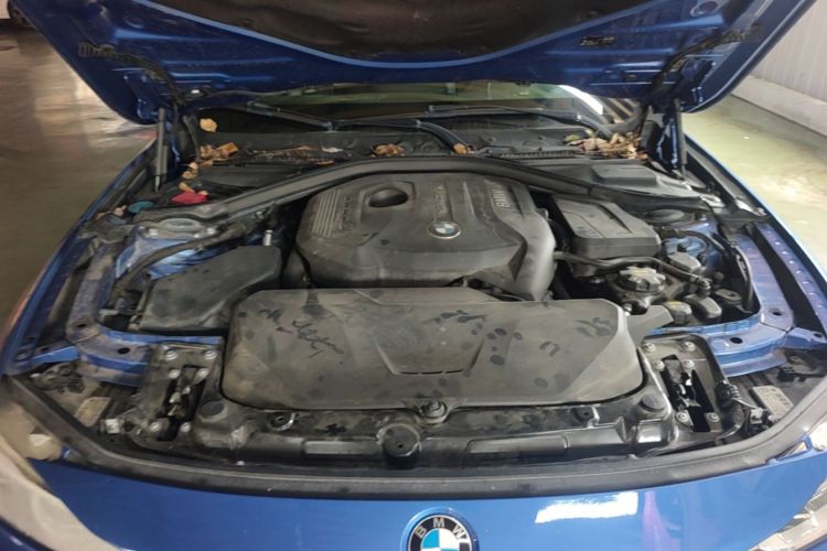 BMW 3 Series 2017 #20 BMW 3 Series 2017 car image #20