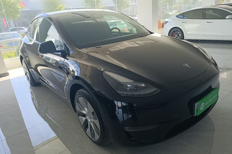 Tesla Model Y 2023 car image #4