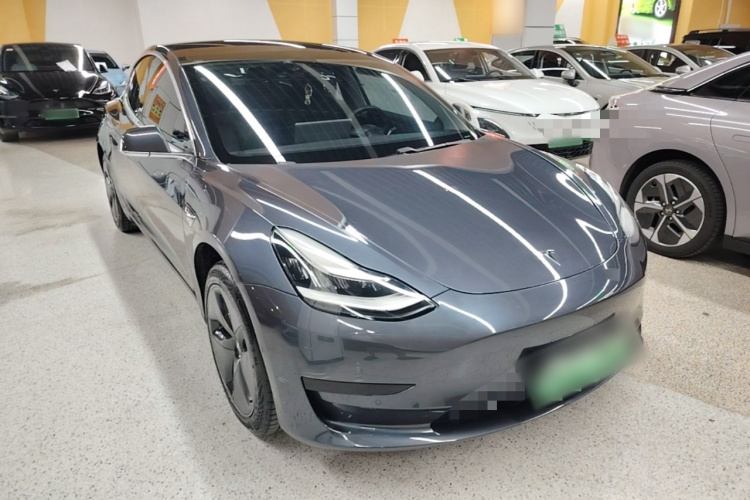 Tesla Model 3 2020 car image #4