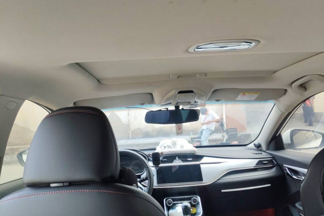 GEELY Binray 2020 #20 GEELY Binray 2020 car image #20