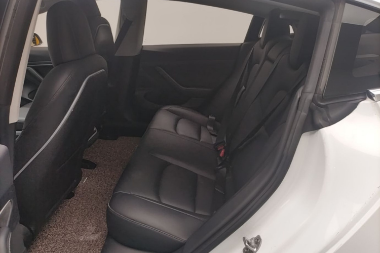 Tesla Model 3 2020 #17 Tesla Model 3 2020 car image #17