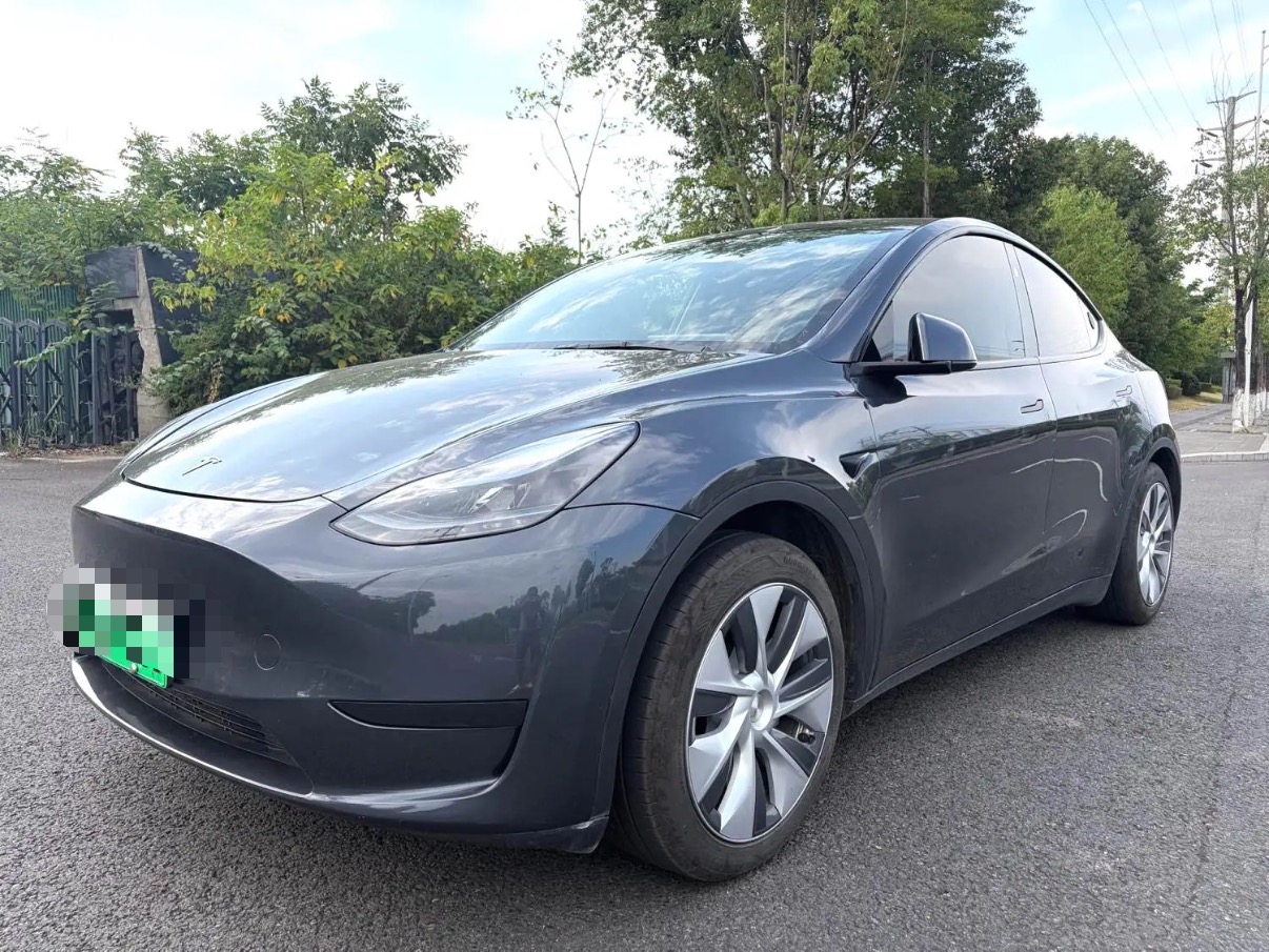 Tesla Model Y 2024 car image 