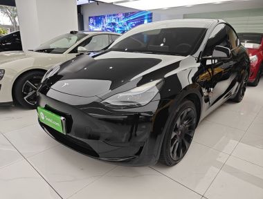 Tesla Model Y 2022 car image 