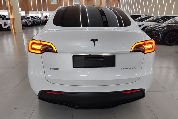 Tesla Model Y 2021 #4 Tesla Model Y 2021 car image #4