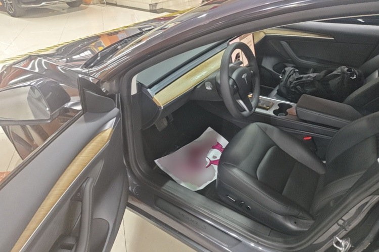 Tesla Model 3 2021 car image #16
