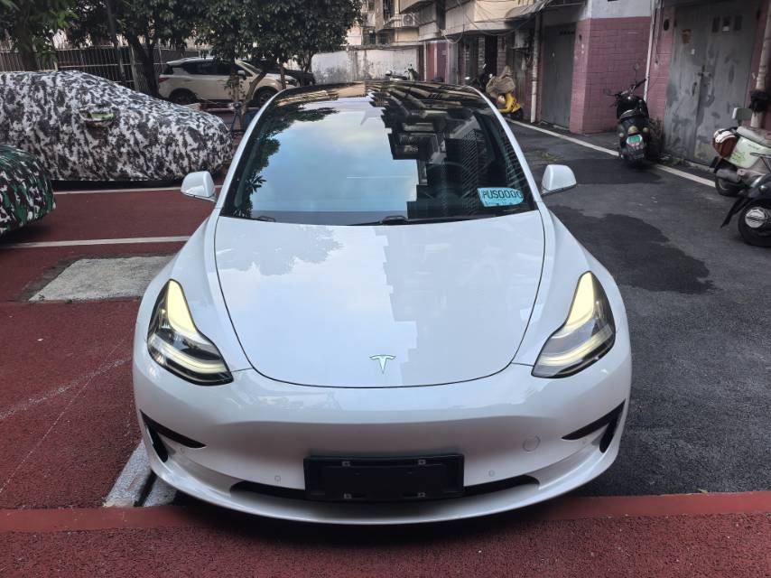 Tesla Model 3 2020 #3 Tesla Model 3 2020 car image #3