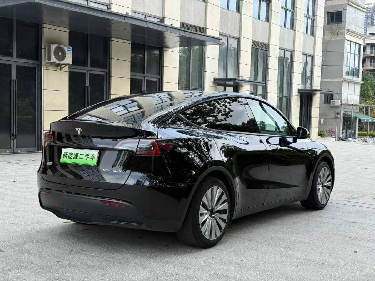 Tesla Model Y 2022 car image #9