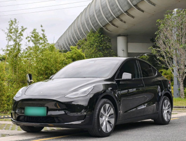 Tesla Model Y 2023 Tesla Model Y 2023 car image