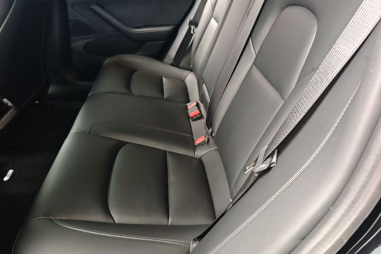 Tesla Model 3 2020 car image #20
