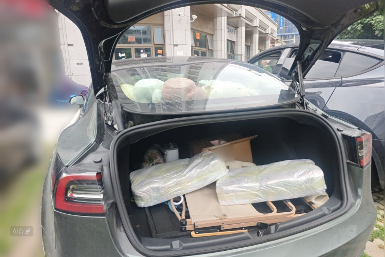 Tesla Model 3 2021 car image #21