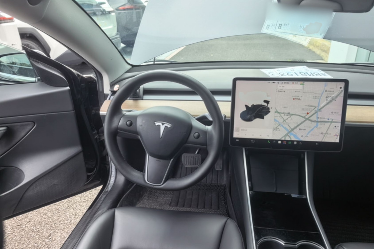 Tesla Model 3 2020 immagine di auto #12