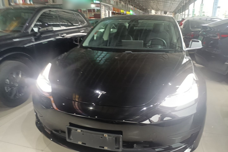 Tesla Model 3 2020 car image #3