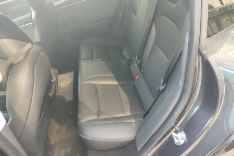 Tesla Model 3 2024 #17 Tesla Model 3 2024 car image #17