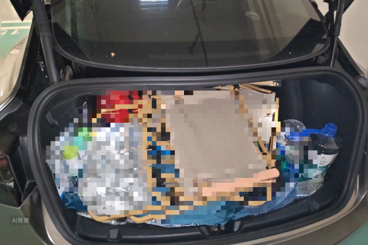 Tesla Model 3 2021 car image #21