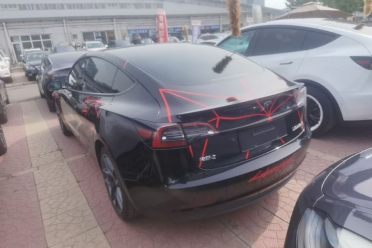 Tesla Model 3 2021 #5 Tesla Model 3 2021 car image #5