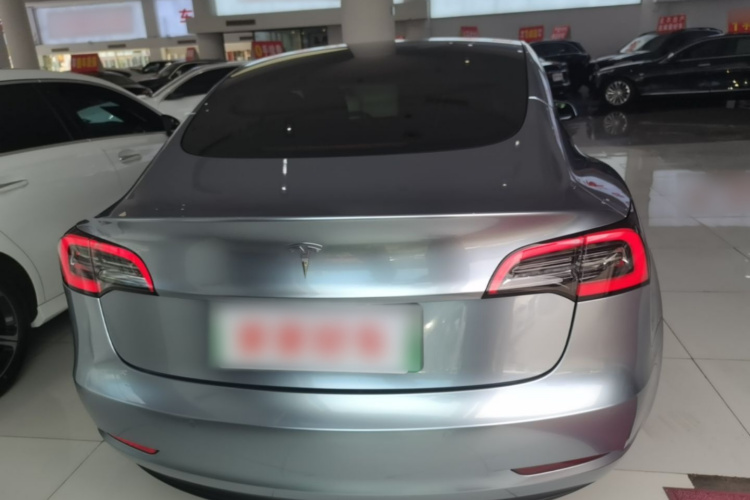 Tesla Model 3 2021 #6 Tesla Model 3 2021 car image #6