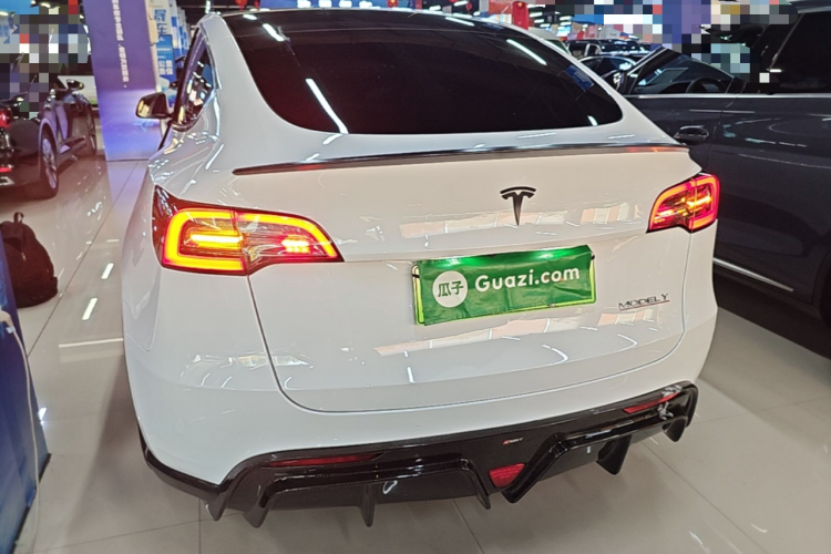 Tesla Model Y 2021 car image #6