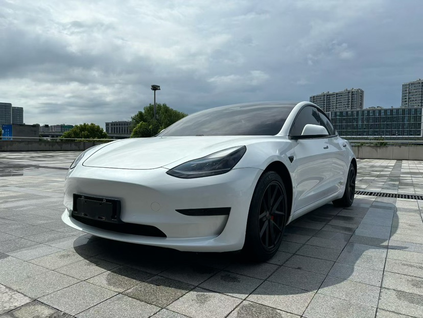 Tesla Model 3 2021 Tesla Model 3 2021 car image