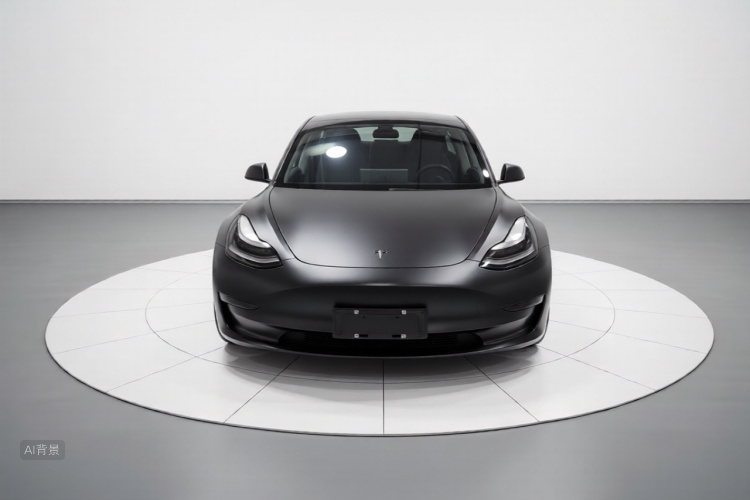 Tesla Model 3 2020 car image #3
