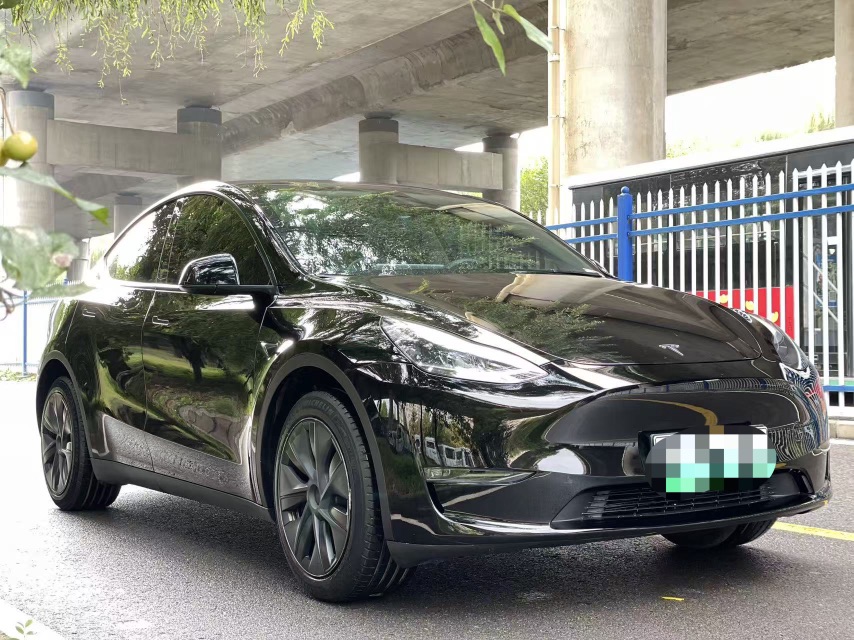 Tesla Model Y 2024 imagen de coche #3