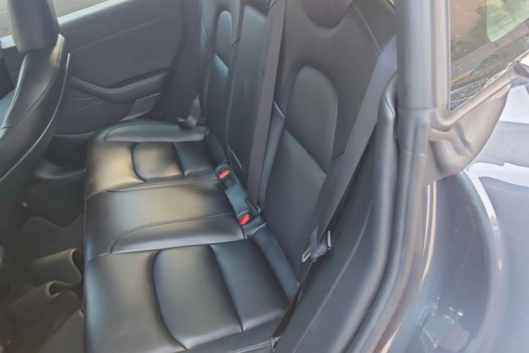 Tesla Model 3 2020 #17 Tesla Model 3 2020 صورة سيارة #17