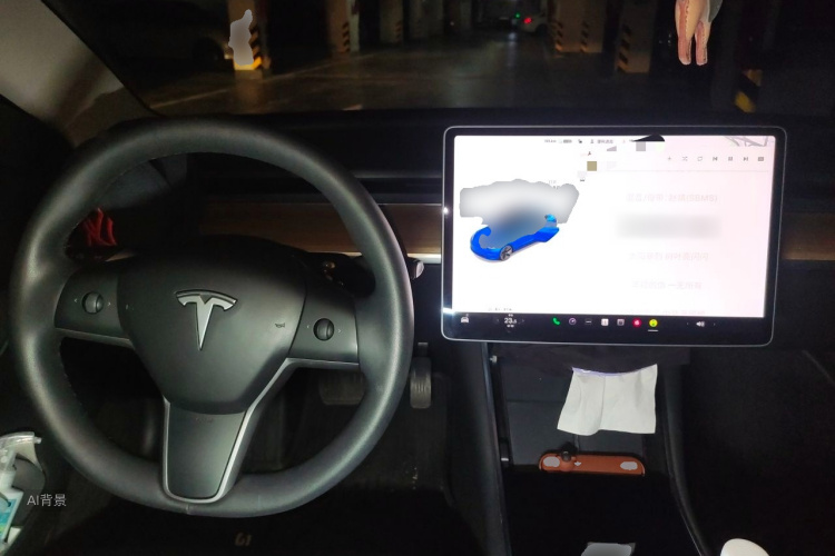 Tesla Model 3 2020 car image #11